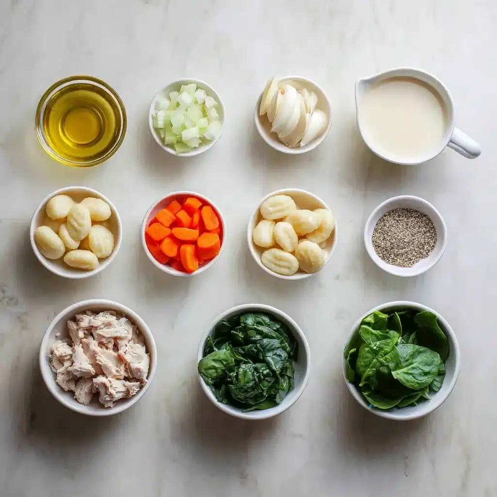 chicken gnocchi soup 2026 01 26 215854