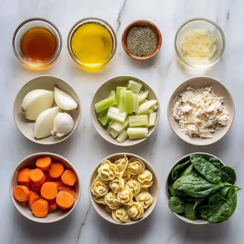 chicken tortellini soup 2026 01 26 220143